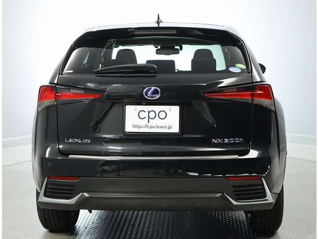 Lexus NX 6