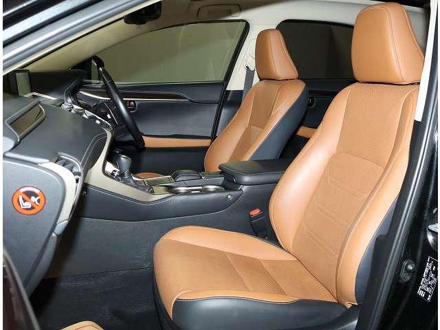 Lexus NX 10