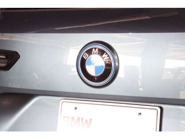 BMW iX 9