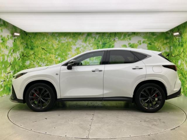 Lexus NX 5