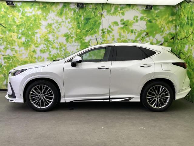 Lexus NX 5