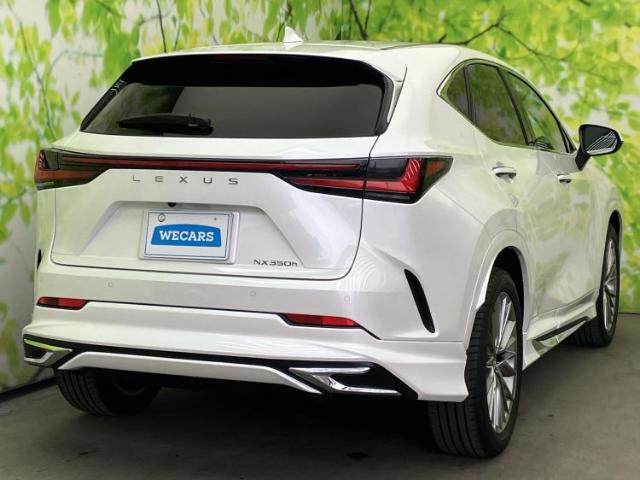 Lexus NX 6