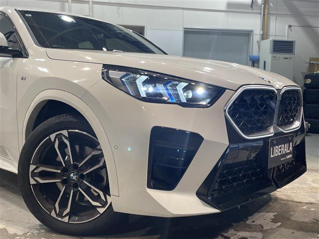 BMW X2 10