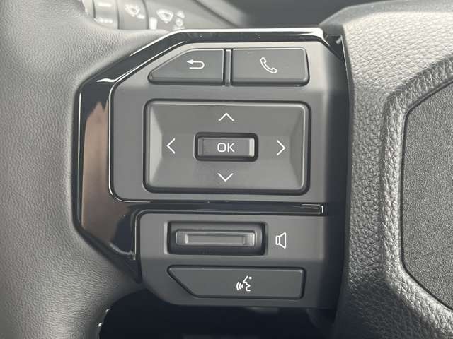 Toyota Land Cruiser FJ 12
