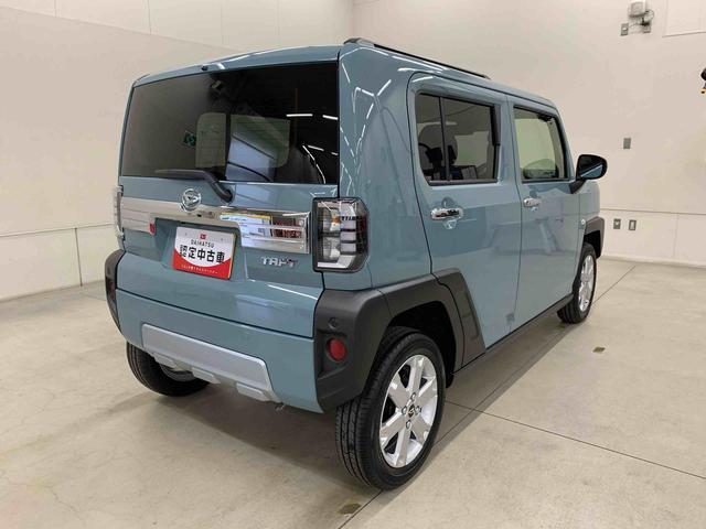 Daihatsu Taft 11