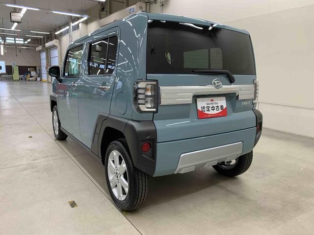 Daihatsu Taft 12