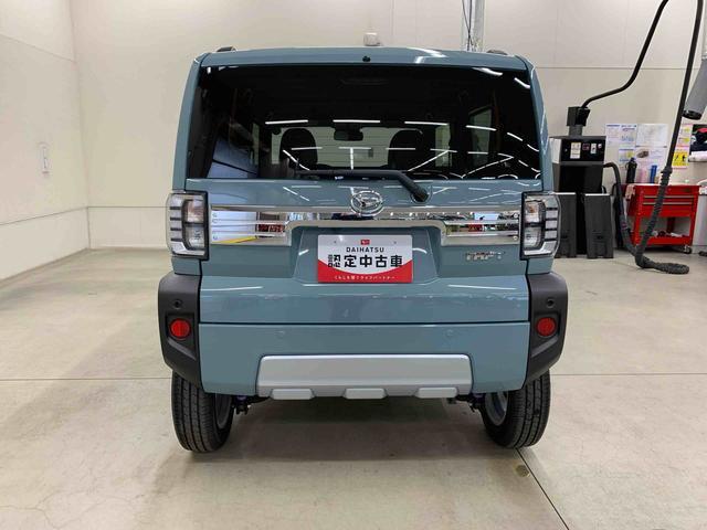 Daihatsu Taft 6