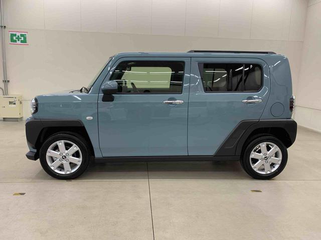 Daihatsu Taft 8