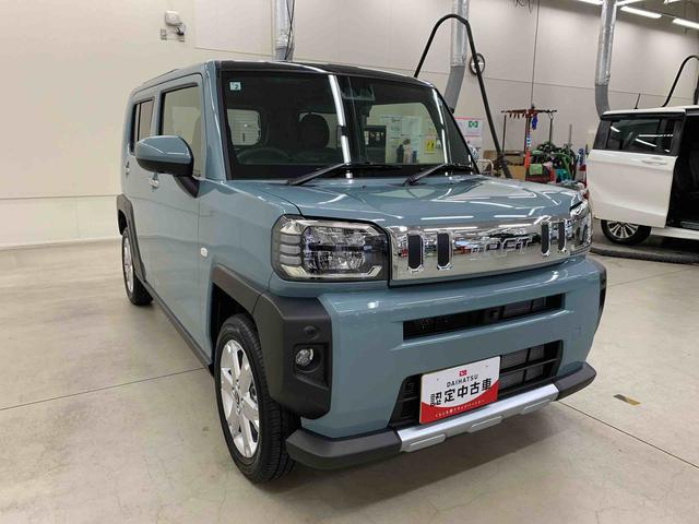 Daihatsu Taft 9