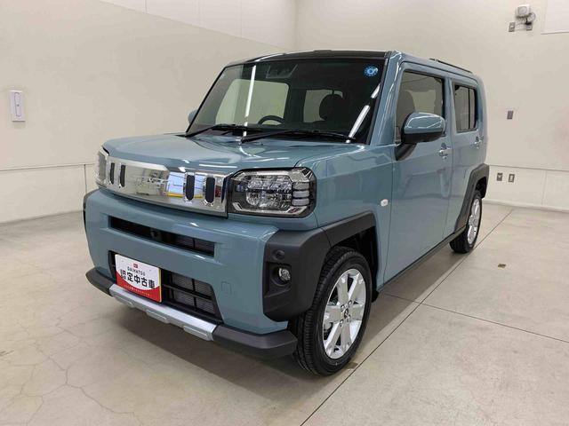 Daihatsu Taft 10