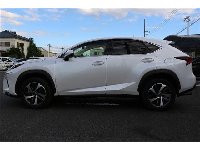 Lexus NX 11