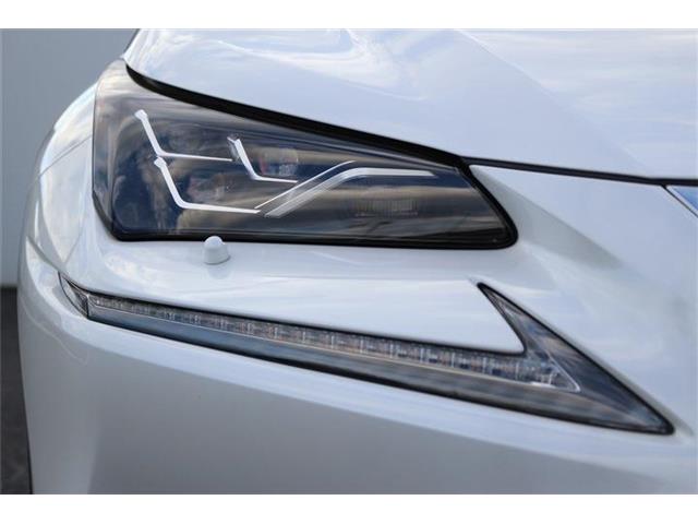 Lexus NX 12
