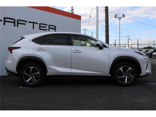 Lexus NX 9
