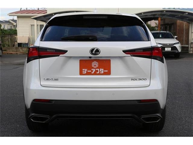 Lexus NX 10