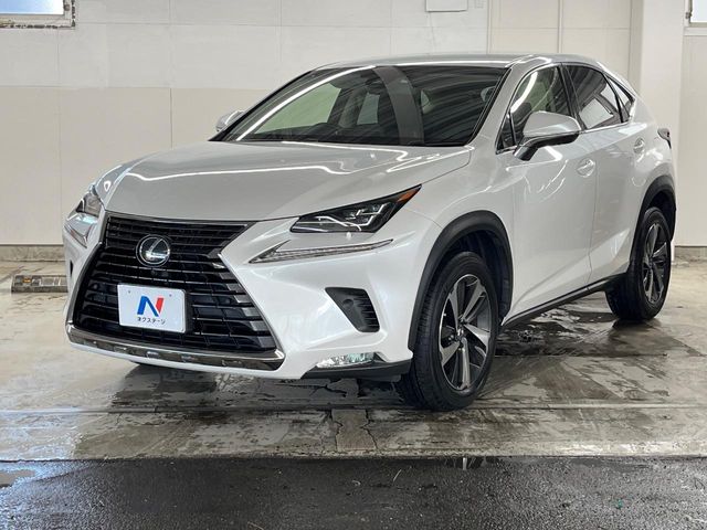 Lexus NX 12