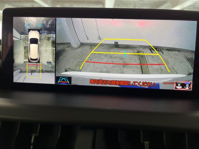 Lexus NX 4