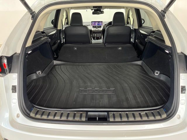 Lexus NX 10