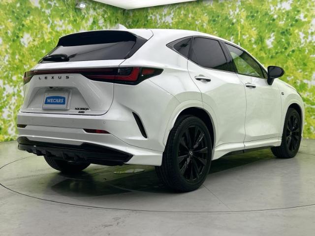 Lexus NX 6