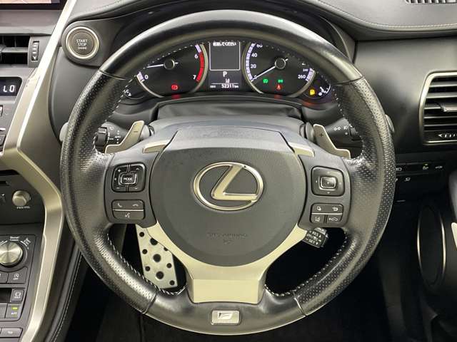 Lexus NX 12