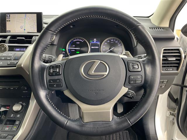 Lexus NX 12