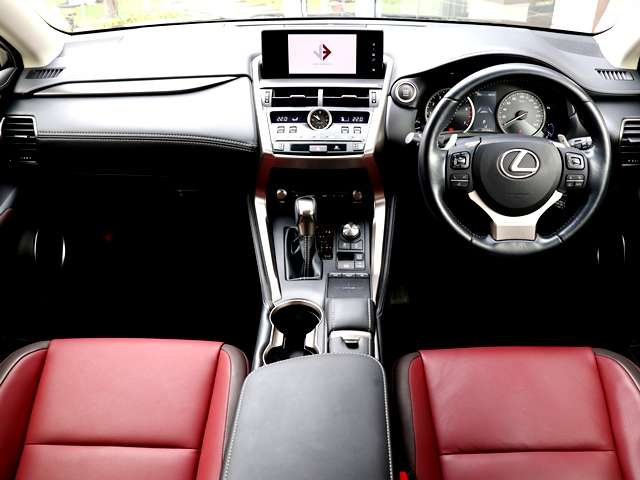 Lexus NX 11
