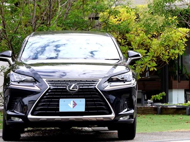 Lexus NX 6