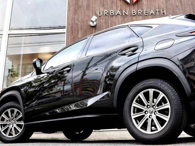 Lexus NX 8