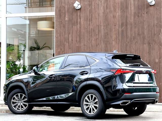 Lexus NX 9