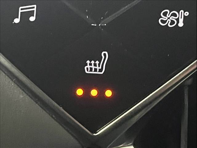 DS Automobiles DS 3 Crossback 9