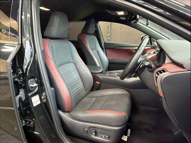 Lexus NX 11