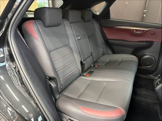 Lexus NX 12
