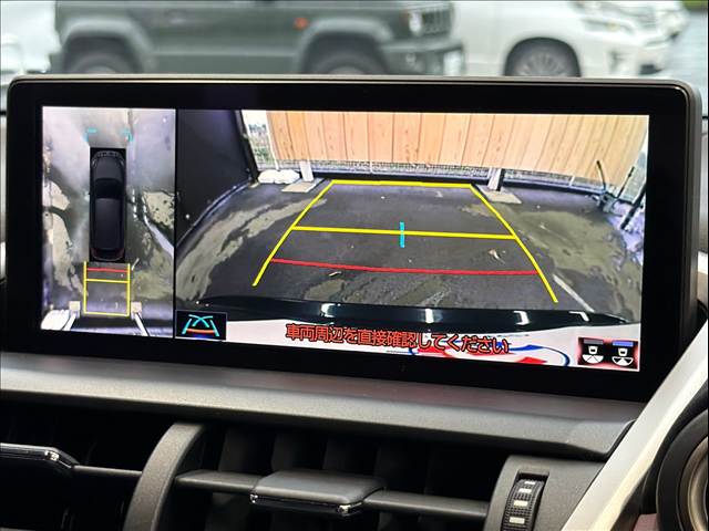 Lexus NX 4