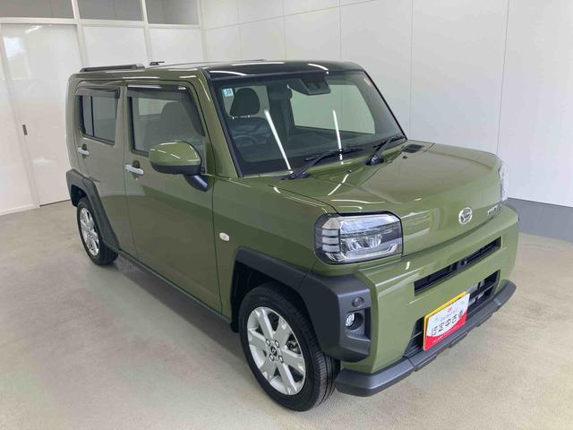 Daihatsu Taft 6