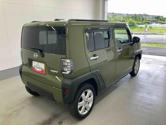 Daihatsu Taft 8