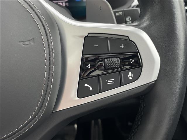 BMW X7 7