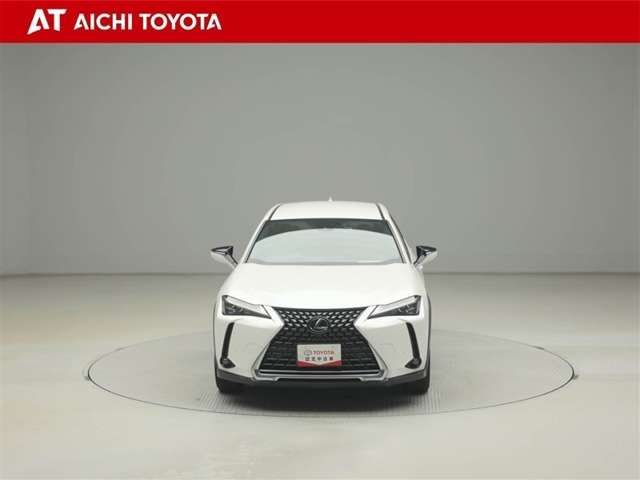 Lexus UX 9