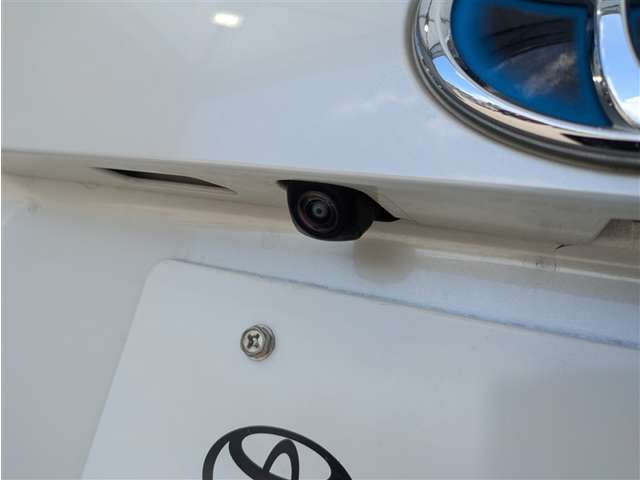 Toyota RAV4 PHV 10
