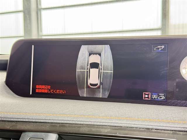 Lexus UX 12