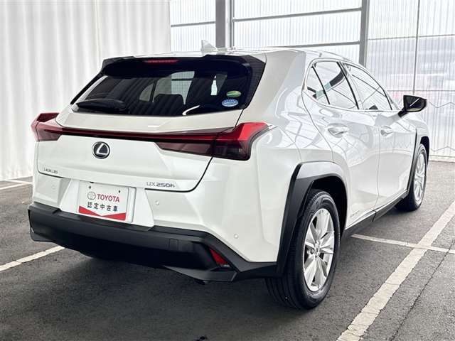 Lexus UX 8