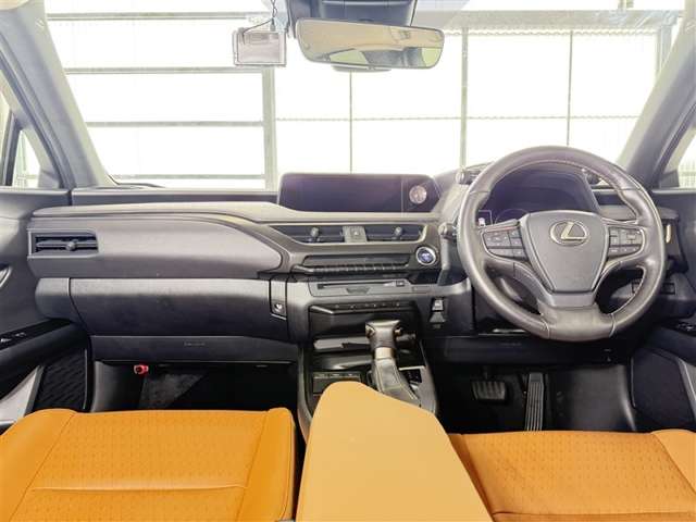 Lexus UX 9