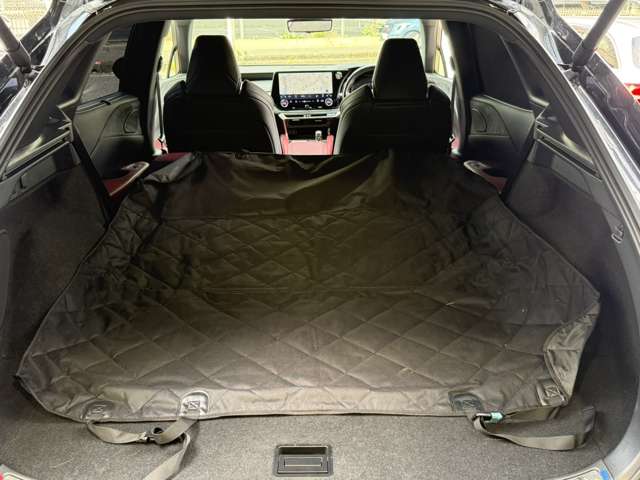 Lexus RX 11