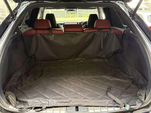 Lexus RX 10