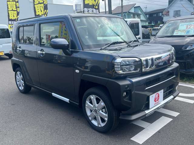 Daihatsu Taft 11