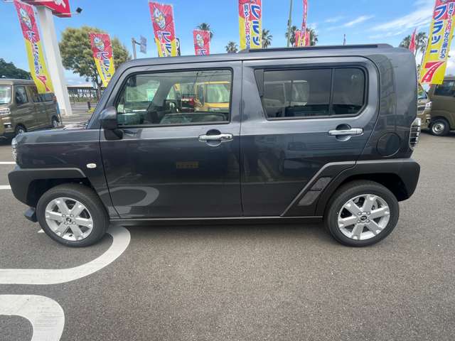 Daihatsu Taft 6