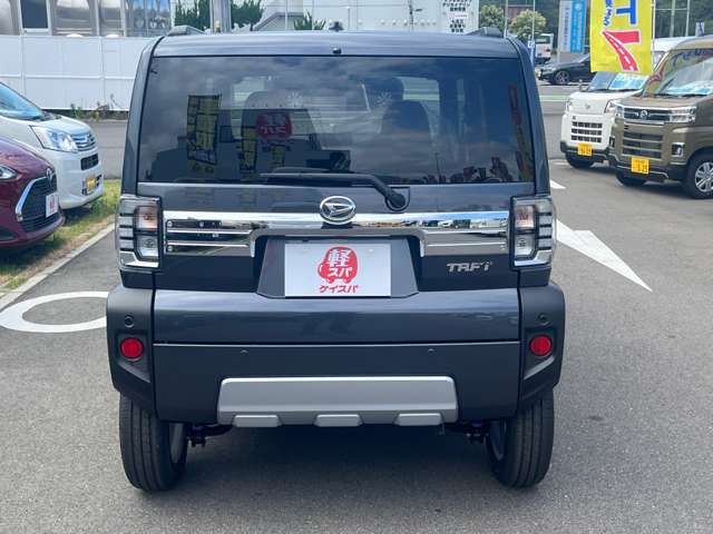 Daihatsu Taft 8