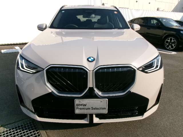 BMW X3 8
