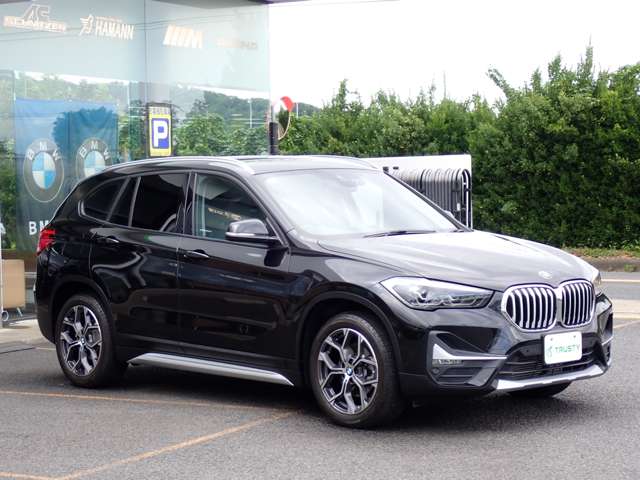 BMW X1 10