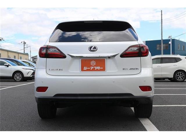 Lexus RX Hybrid 10