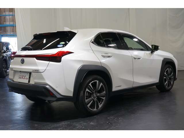 Lexus UX 8