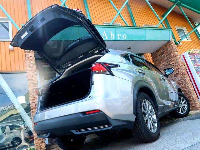 Lexus NX 9